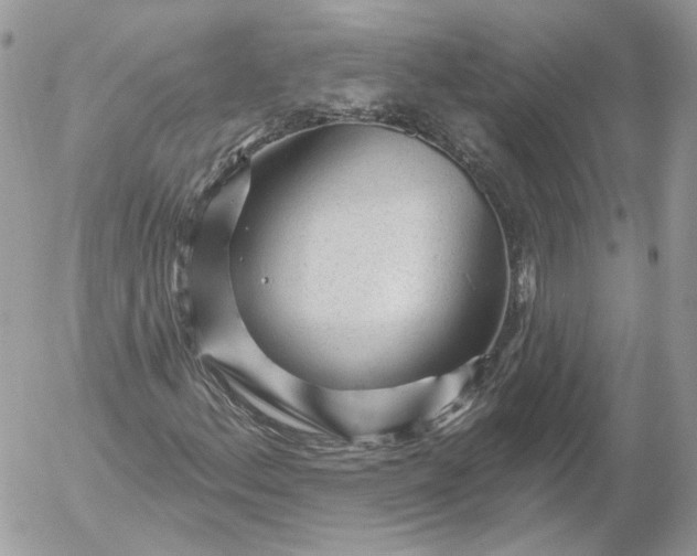 X0000052931156200507221114