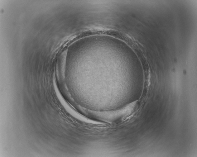 X0000052931157200507221114