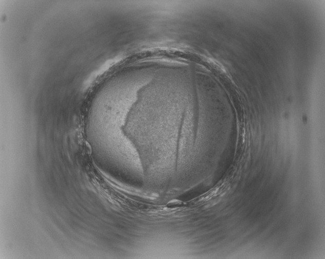 X0000052931159200507221114