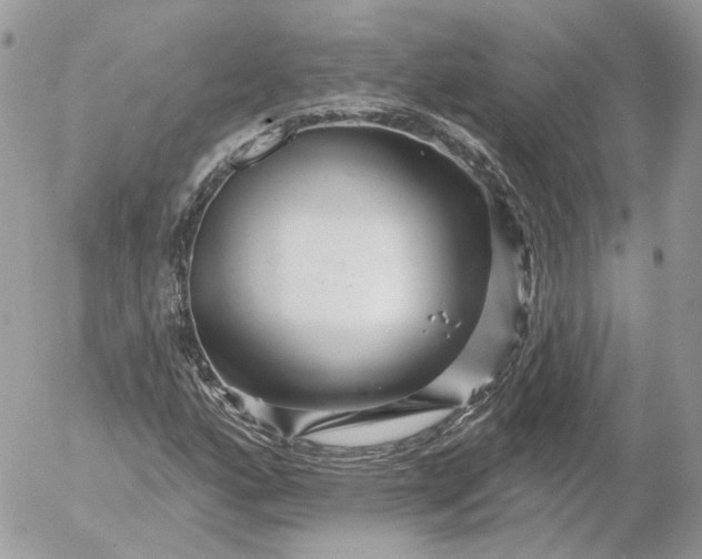 X0000052931160200507221114