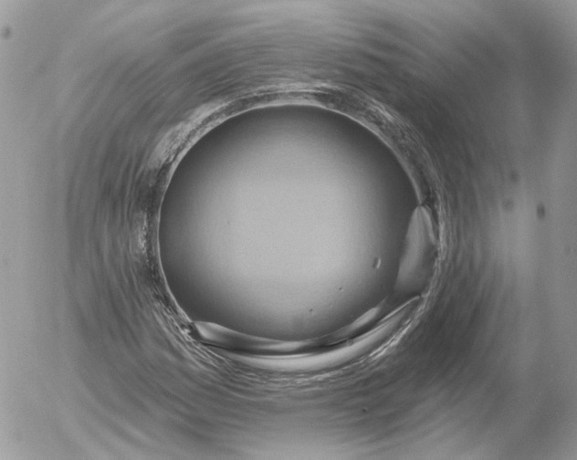 X0000052931161200507221114