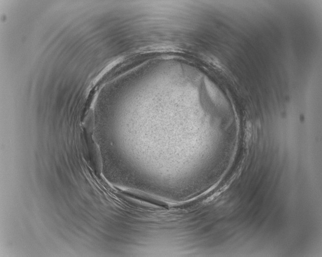 X0000052931162200507221114