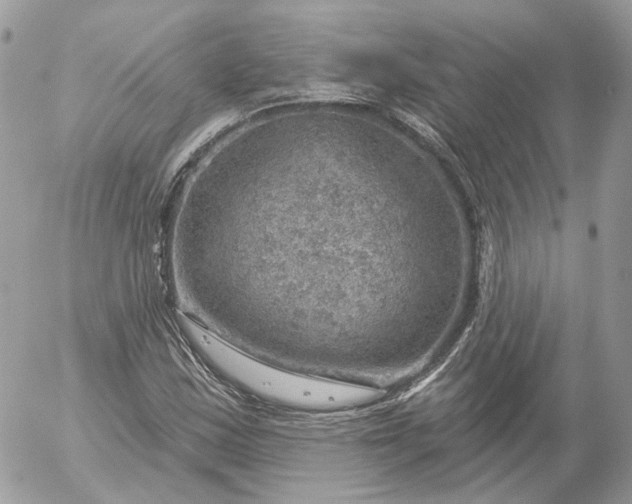 X0000052931163200507221114