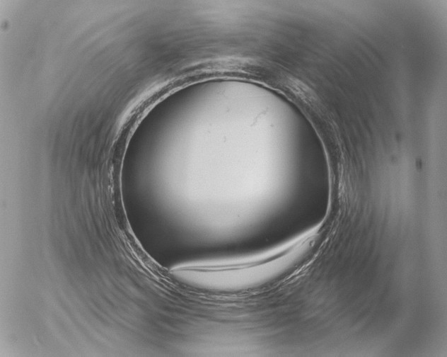 X0000052931164200507221114