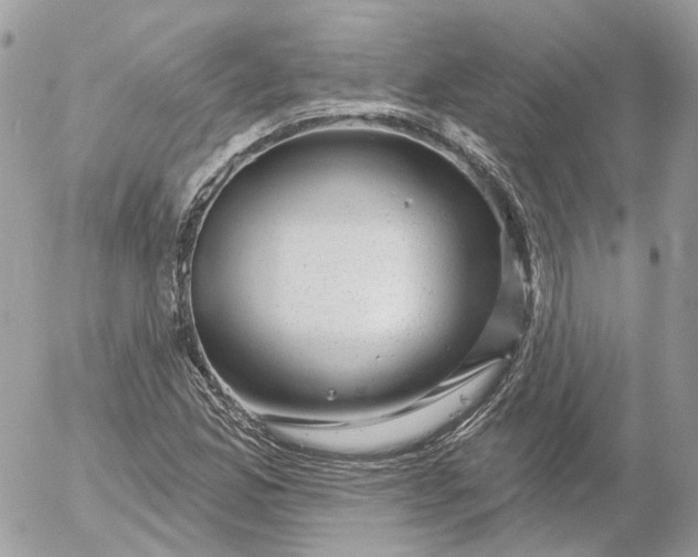 X0000052931165200507221114