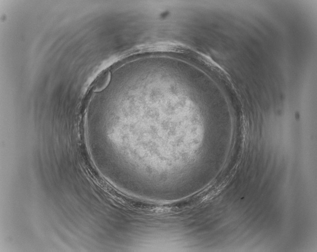 X0000052931166200507221114