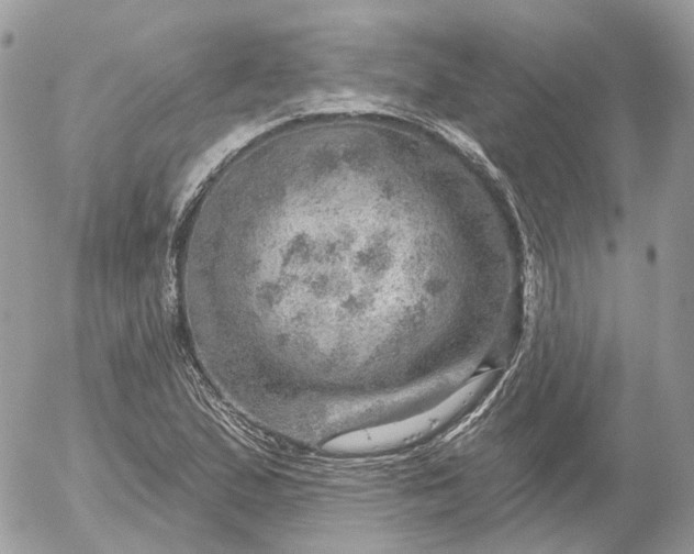 X0000052931167200507221114