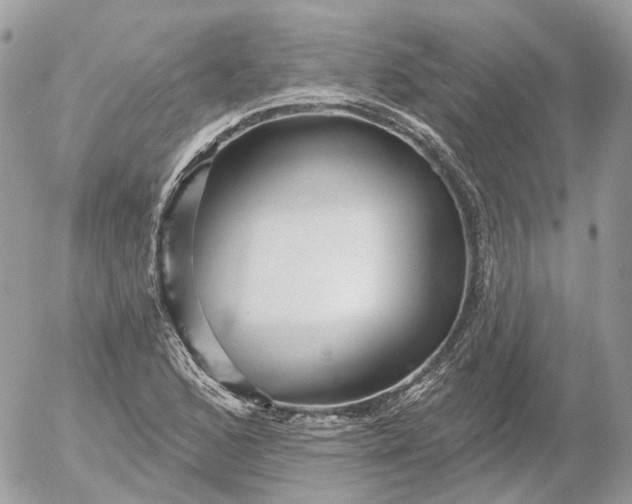 X0000052931168200507221114