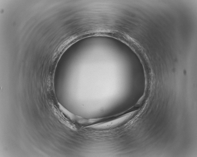 X0000052931169200507221114