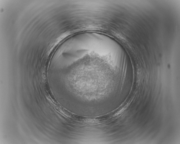 X0000052931170200507221114