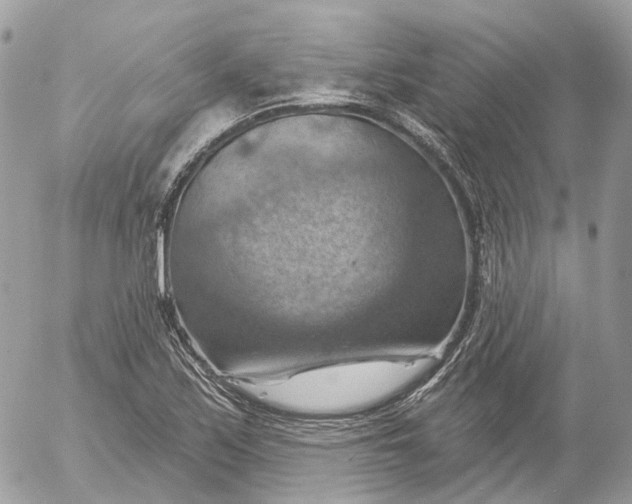 X0000052931171200507221114