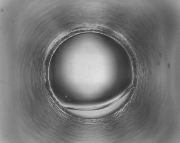 X0000052931172200507221114