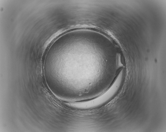 X0000052931173200507221114