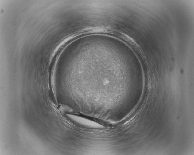 X0000052931174200507221114