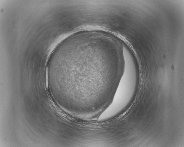 X0000052931175200507221114