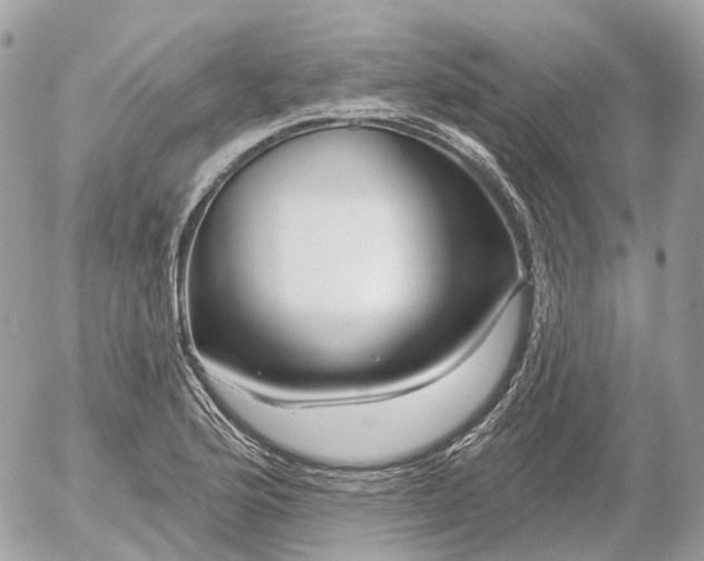 X0000052931176200507221114