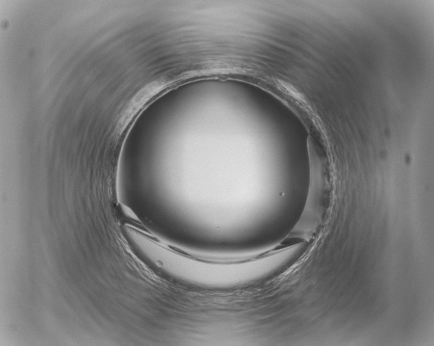 X0000052931177200507221114