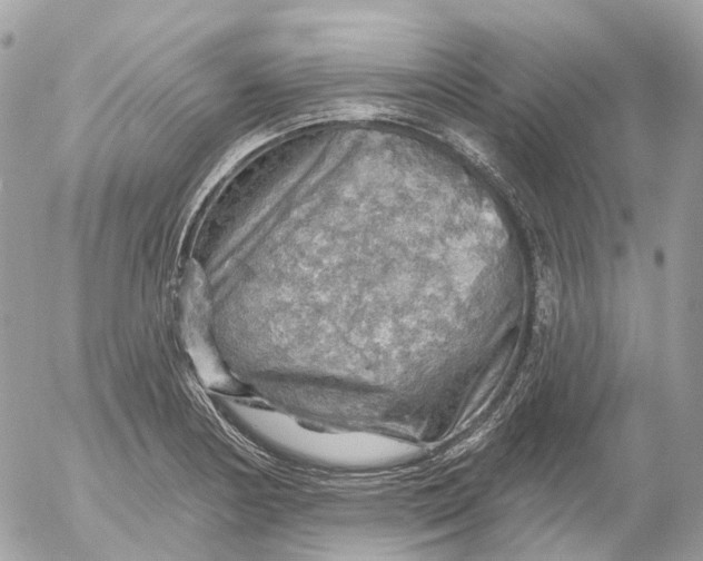 X0000052931178200507221114