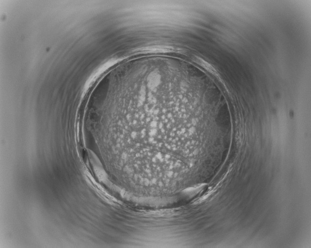 X0000052931179200507221114