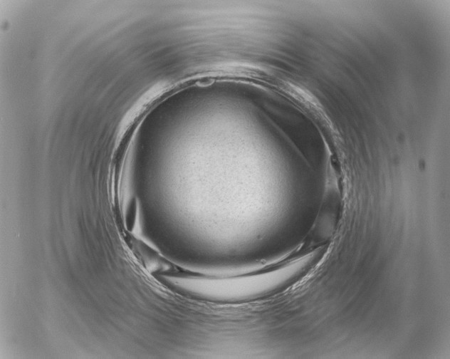 X0000052931180200507221114