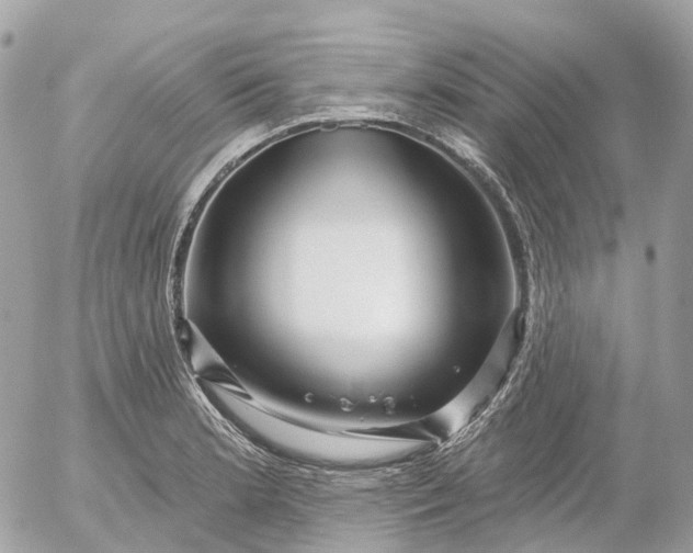 X0000052931181200507221114