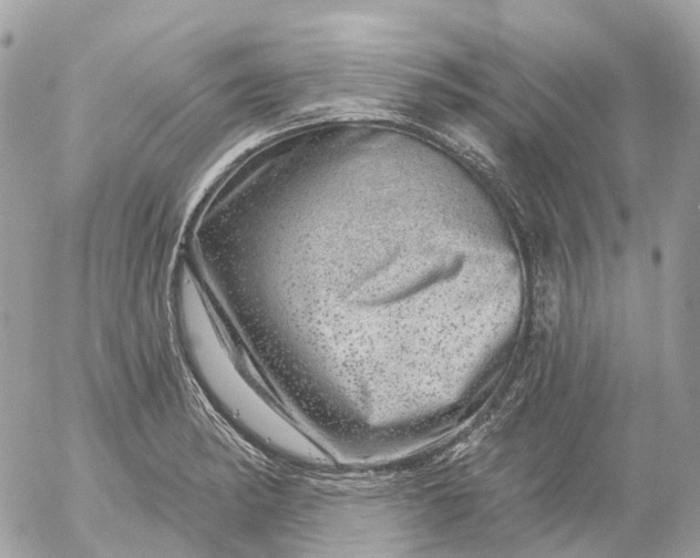 X0000052931182200507221114