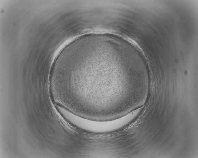 X0000052931183200507221114