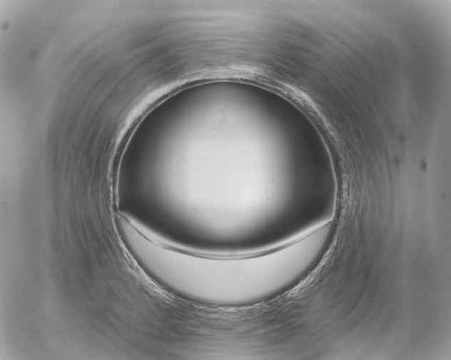 X0000052931184200507221114