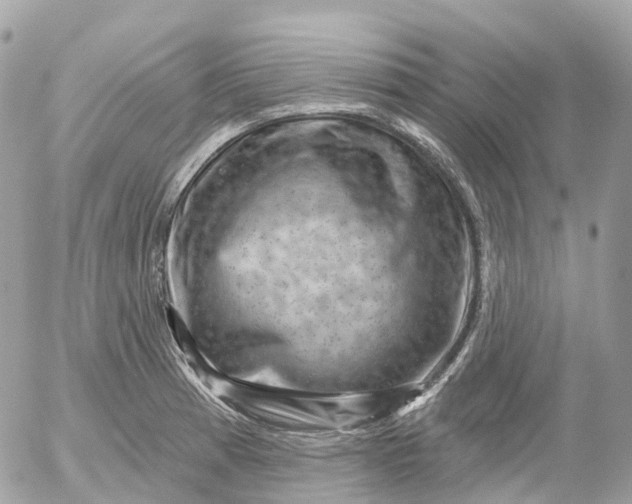 X0000052931185200507221114