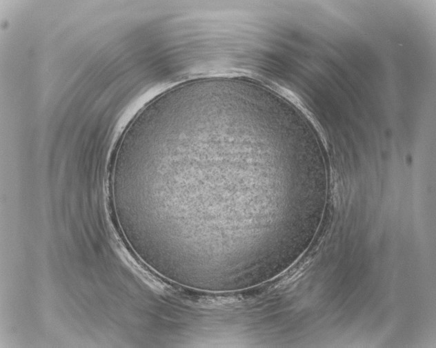 X0000052931187200507221114