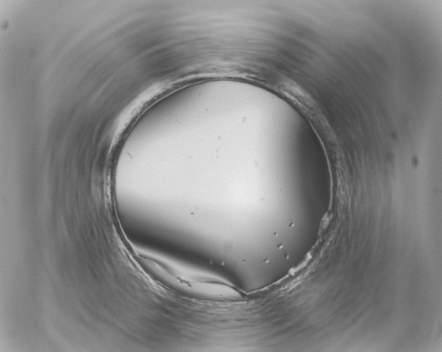 X0000052931188200507221114