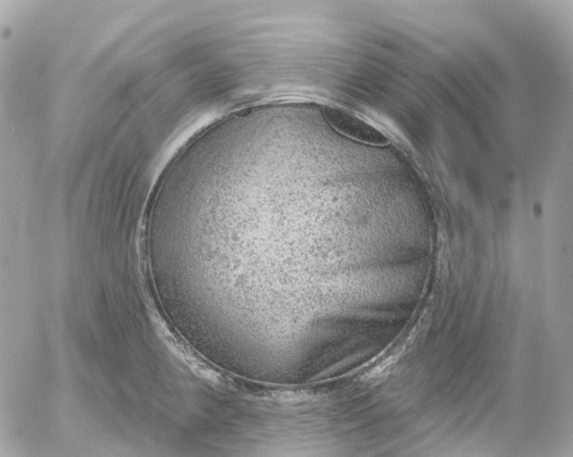 X0000052931190200507221114