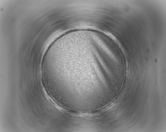 X0000052931191200507221114