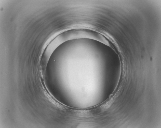 X0000052931192200507221114