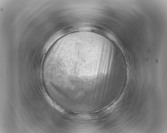 X0000052931194200507221113