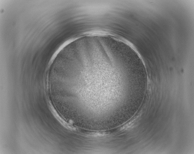 X0000052931195200507221113