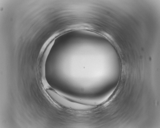 X0000052931196200507221113