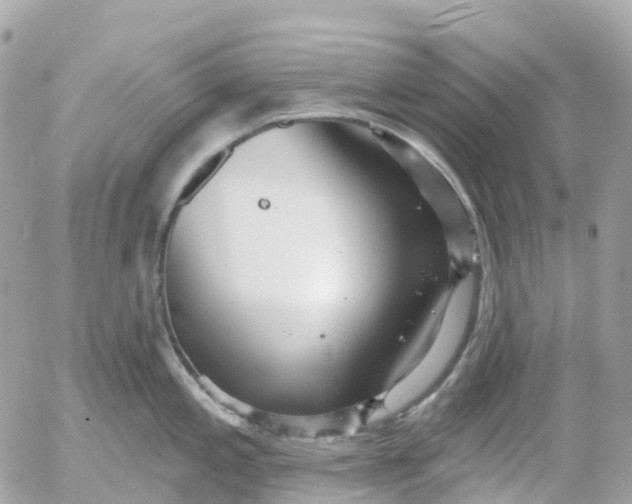 X0000052931197200507221113