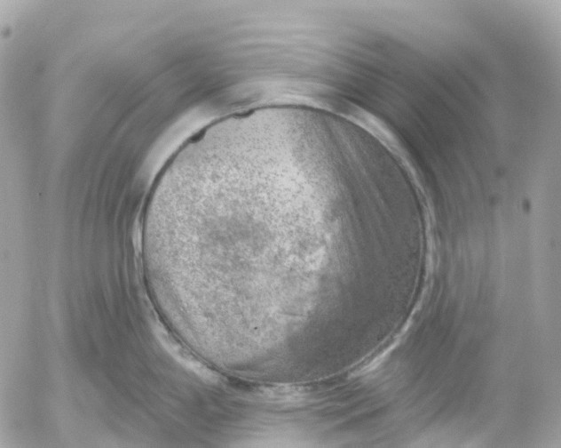 X0000052931198200507221113