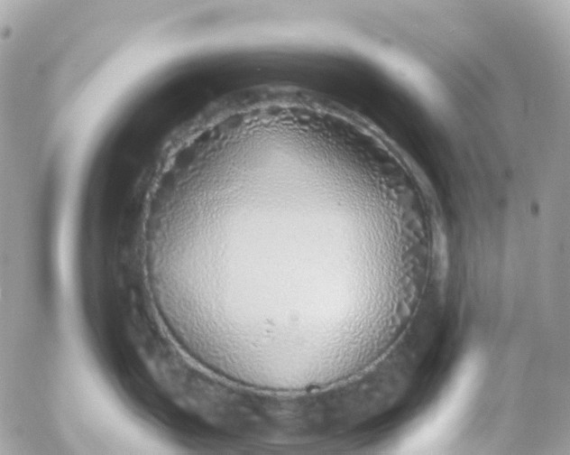 X0000052931199200507221113