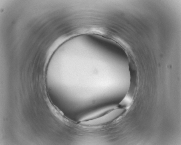 X0000052931200200507221113