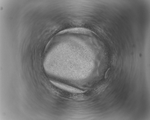 X0000052931201200507221113