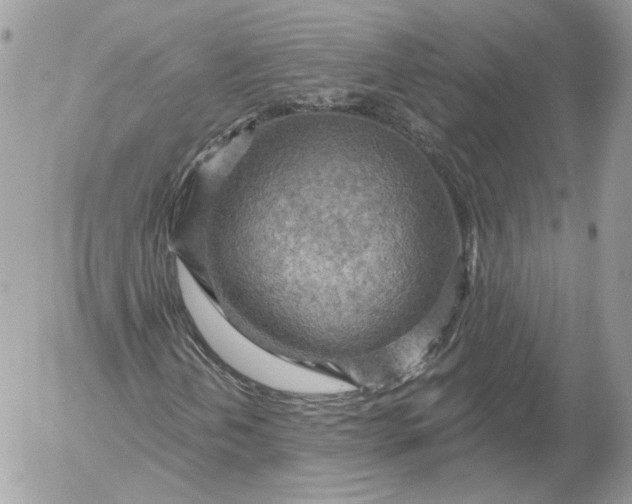 X0000052931202200507221113