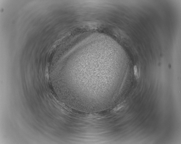 X0000052931203200507221113