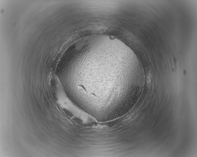 X0000052931204200507221113