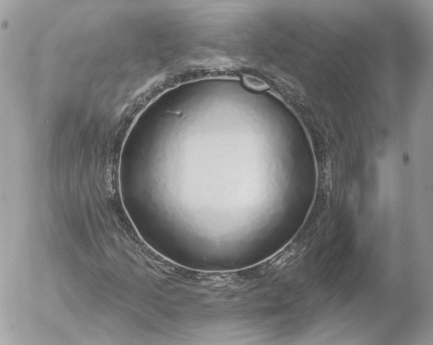 X0000052931205200507221113