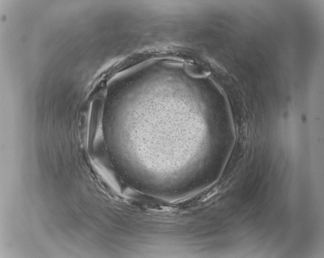 X0000052931206200507221113