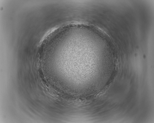 X0000052931207200507221113