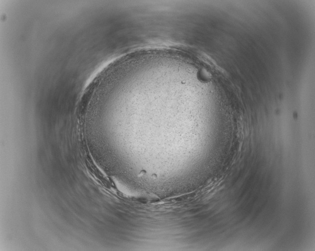 X0000052931208200507221113