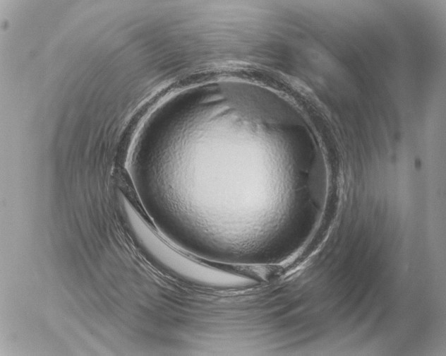 X0000052931209200507221113